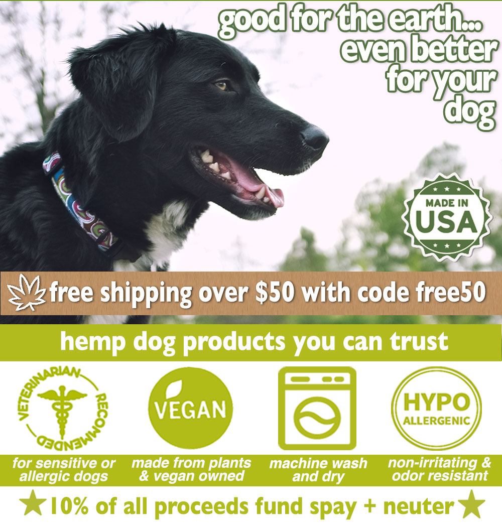 best collar for dog with allergies